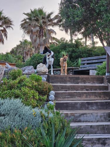 Photo de la galerie de l'établissement Villa st Tropez Pieds dans l'eau Pampelonne Plage, à Saint-Tropez