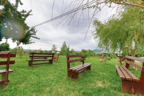 Taman di luar Pastravaria Ursu