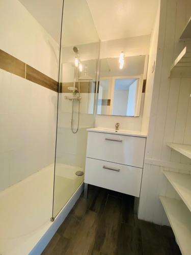 une salle de bain avec douche et lavabo dans l'établissement Charmant T2 5 personnes, à Arzon