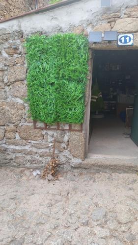 Gambar di galeri bagi 9, Cimo da Aldeia di Aldeia de João Pires