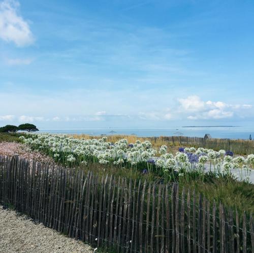 una recinzione con un mazzo di fiori bianchi e viola di Studio 3 couchages vue mer a Châtelaillon-Plage