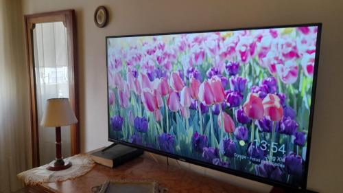 Un televisor de pantalla plana con un ramo de tulipanes encima. en Dpto Nenucha, en Bahía Blanca