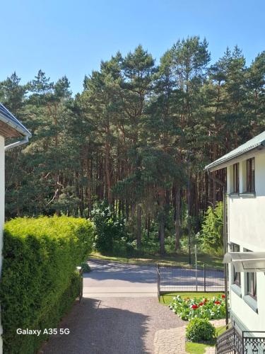 Gambar di galeri bagi Arti Jūros Neringos 8 di Palanga