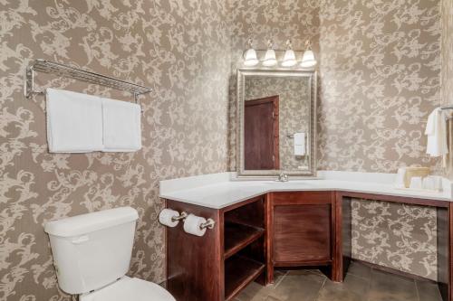 a bathroom with a toilet and a sink and a mirror at Quality Inn Eureka Springs South in Eureka Springs