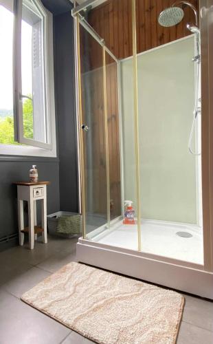 a shower with a glass door in a bathroom at Studio Bareges Le Rioulet 1 in Barèges