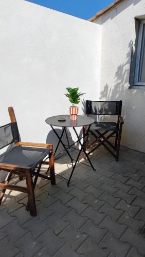 Studio 1 chambre climatisé en camargue