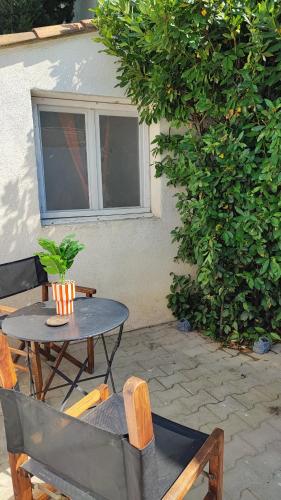 une terrasse avec une table, des chaises et une plante dans l'établissement Studio 1 chambre climatisé en camargue, à Vauvert