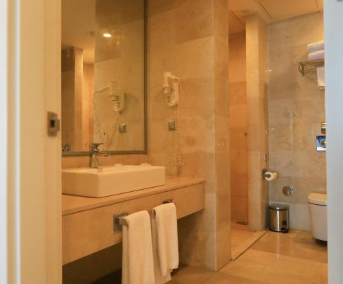 ein Badezimmer mit Waschbecken und Spiegel in der Unterkunft VIP Apartment & Residence Baku in Baku