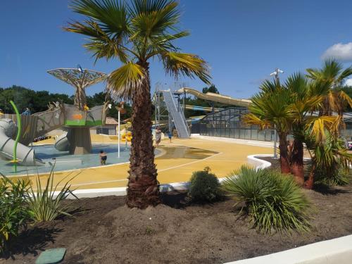 Vacances dans les Landes