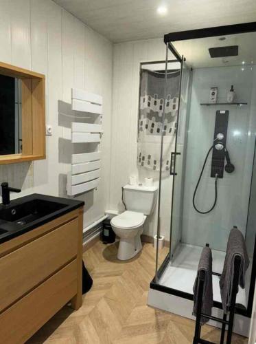 une salle de bain avec une douche, des toilettes et un lavabo dans l'établissement Love House 4, à Aulnay-sous-Bois