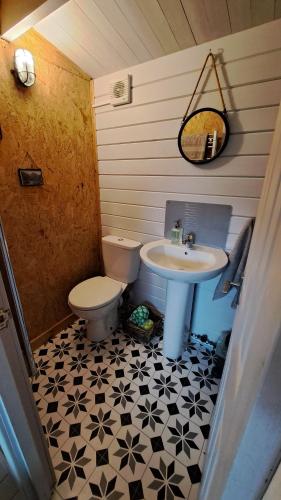 a bathroom with a toilet and a sink at The Cosy Cabin in Portree