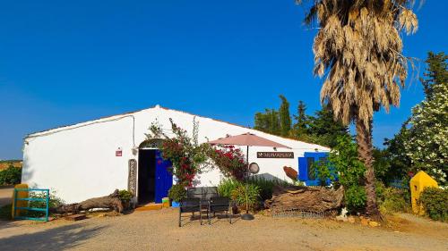 a white building with an umbrella and a palm tree at Quinta da Fornalha - Santuario Agroecologico in Castro Marim