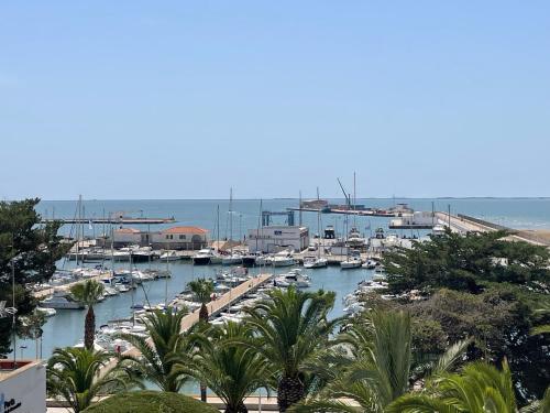 Fantástico apartamento a primera línea de mar en la Ràpita