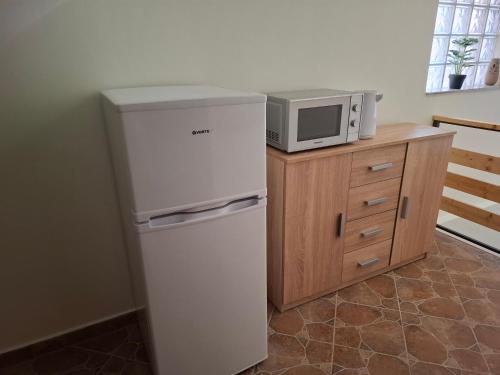 a kitchen with a refrigerator and a microwave on a counter at Vila Monica in Buşteni
