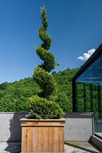 a pine tree in a wooden barrel with a plant at DilijanInn Hotel and Restaurant in Dilijan