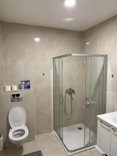 a bathroom with a shower with a toilet and a sink at R&G apartman in Bijeljina