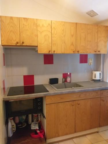 une cuisine avec des armoires en bois et un évier dans l'établissement Appartement 1 pièce à deux pas de la plage et à 10min du centre ville et la gare 15 minutes de l'aéroport, à Nice