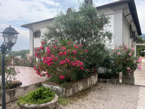 Zahrada ubytování Villa Allegrini