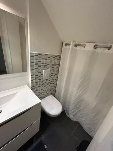 une salle de bain avec toilettes, lavabo et miroir dans l'établissement AS app, à Reims