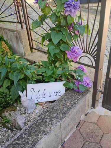 a sign that reads little usgs next to a plant at Ubytovanie Clematis in Trenčianske Teplice