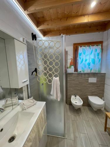 a bathroom with a shower and a sink and a toilet at Azienda agricola Panorama in Massa Marittima