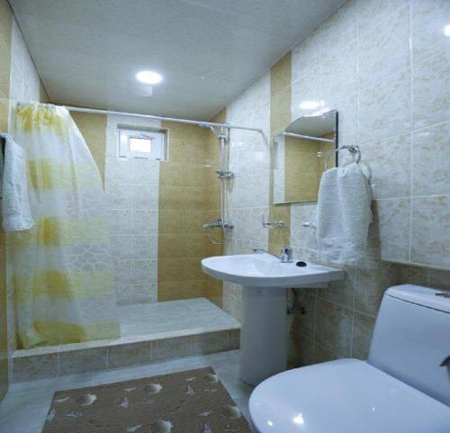 a bathroom with a shower and a toilet and a sink at Your Hostel in Yerevan