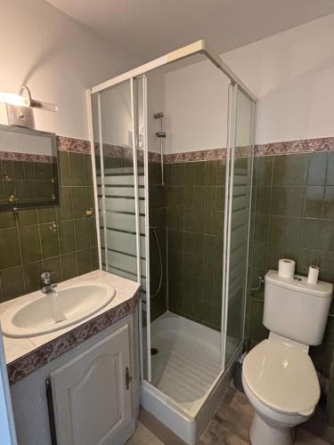 une salle de bain avec une douche, des toilettes et un lavabo dans l'établissement Studio Rénové Proche Mer, à La Grande Motte