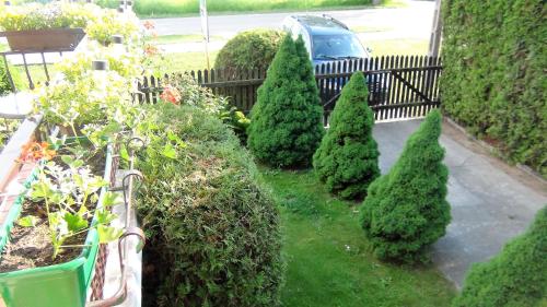 a garden with trees and a fence and a car at Pokoje Żabi Staw in Mikołajki