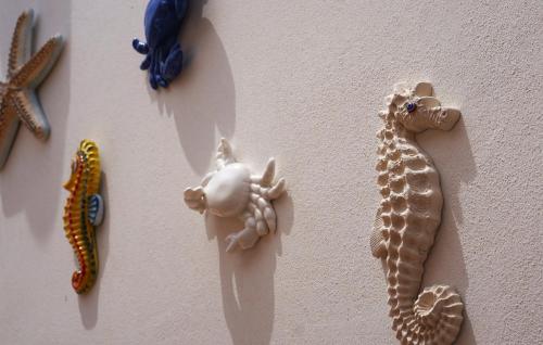 a group of seashells hanging on a wall at AcquaChiara in San Pietro in Bevagna
