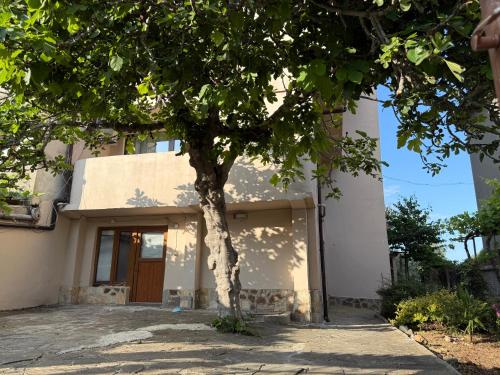 a house with a tree in front of it at Къща за Гости Морска звезда in Ahtopol