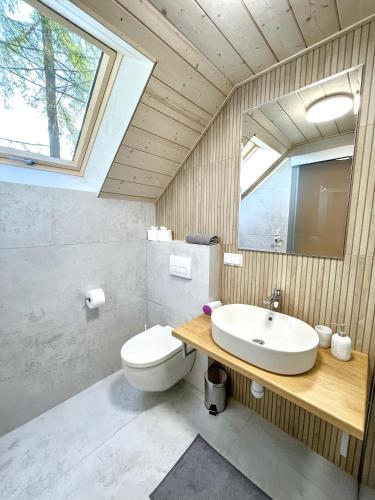 a bathroom with a toilet and a sink and a mirror at Chalet La Martina in Zuberec