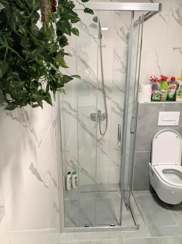 a shower stall in a bathroom with a toilet at "INKOGNITO Centar" Apartman in Brčko