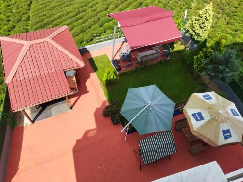Taman di luar Sama house