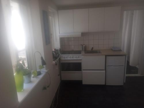 Gallery image of Professor Labri Apartments in Odense