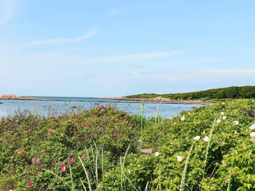 a field of flowers next to a body of water at 4 person holiday home in STENINGE in Steninge
