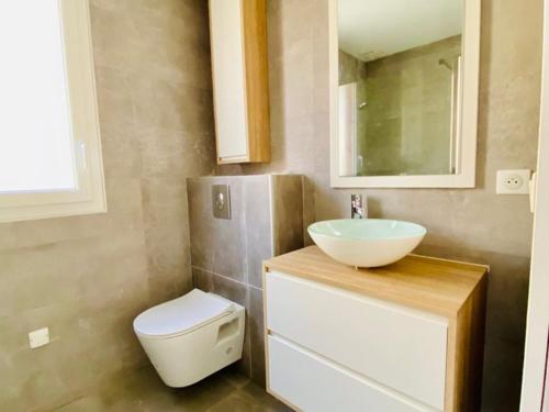 une salle de bain avec un lavabo et des toilettes dans l'établissement Maison avec jardin et accès Wi-Fi à Capbreton - FR-1-413-260, à Capbreton