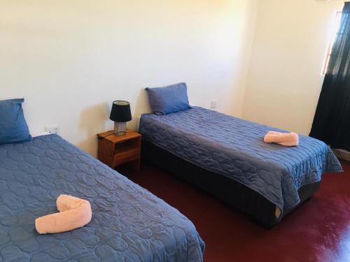 Postel nebo postele na pokoji v ubytování ANSTA FARMHOUSE CAMPING & Nursery cc