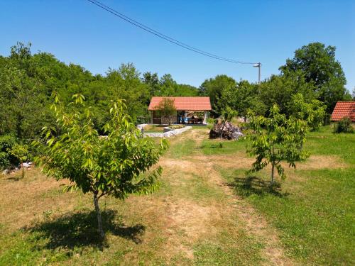 two trees in a field with a building in the background at NAJ village in Cetinje