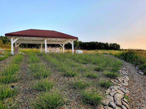 a pavilion in a field with grass and a gravel road at Siedlisko Panorama na Koncu Swiata - Całoroczny domek in Podgórz