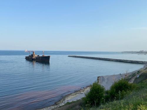 Phong cảnh thiên nhiên gần căn hộ