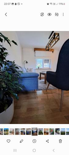 a bedroom with a blue bed and a plant at Casa Zen in Ivanec