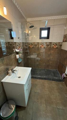 a bathroom with a sink and a shower at Vila Ale in Mamaia Sat/Năvodari