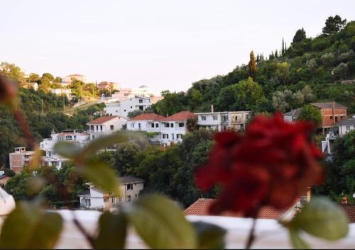 a view of a town on a hill with houses at Bisha Apartments in Ulcinj