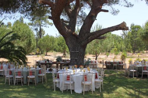a table set up for a wedding under a tree at Monte do Pinheirinho in São Domingos