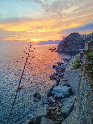 a sunset over the water with a group of birds on the shore at L'oblò in Riomaggiore