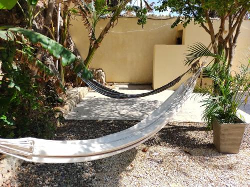 a hammock in a garden next to a building at Apartment for 6 Guests in Sabanilla a Few Steps from the Sea in Maizal
