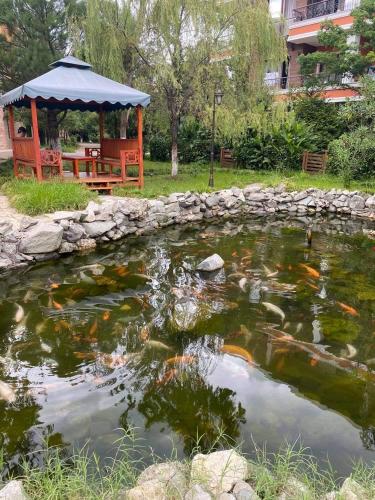 Paisaje cerca de este apartamento