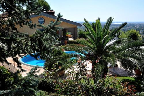 a house with a swimming pool and a palm tree at B&B Casa di Giò Luxury Resort in Lanuvio
