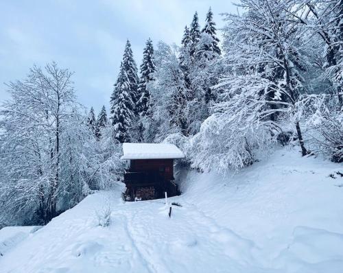 Photo de la galerie de l'établissement Mazot du Bois, aux Houches