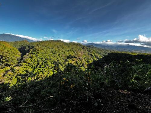 auliculiculiculiculiculiculiculiculiculiculiculiculiculiculic at Las cabañas del Francés in Alto Boquete